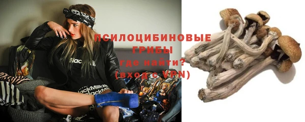 соль ск Балабаново