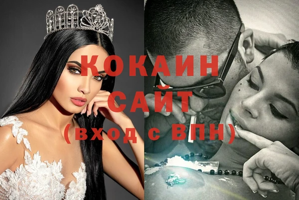 стаф Аркадак