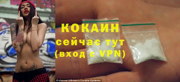 стаф Аркадак