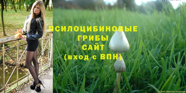 прущие грибы Баксан