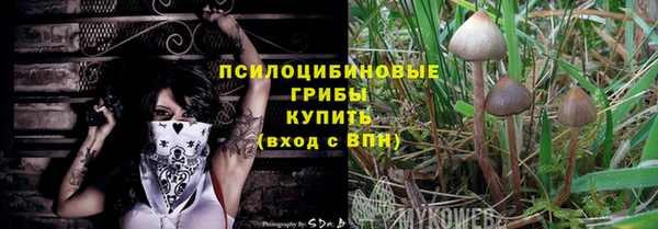 дмт Армянск