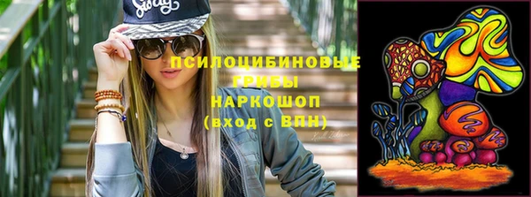 дмт Армянск