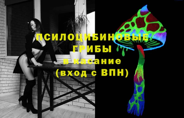 прущие грибы Баксан