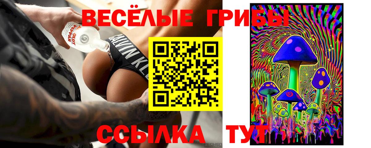 Воткинск  Галлюциногенные грибы Psilocybe  Вход с VPN  Галлюциногенные грибы Psilocybe 